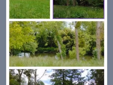 vente terrain 1539 m² à martizay (36220)  8 700 €