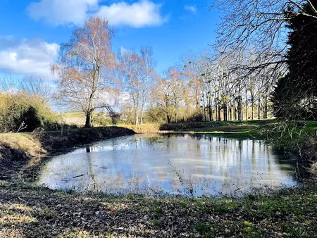 vente terrain 7650 m² à vou (37240)  23 000 €