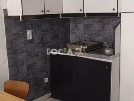 location appartement 1 pièce 23 m² à lyon 7 (69007)