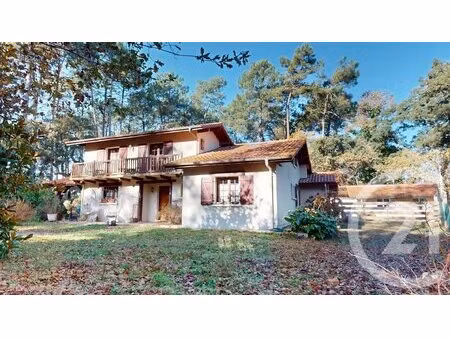 achat : maison (40550)