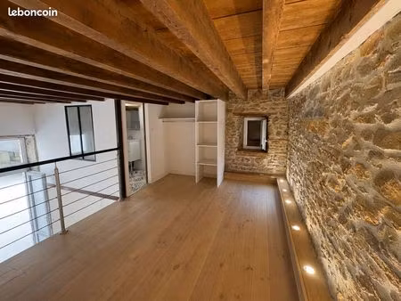 loft de caractère avec mezzanine et sous-sol aménagé – lyon 5ᵉ