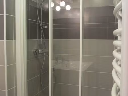 appartement meublé terreaux à louer