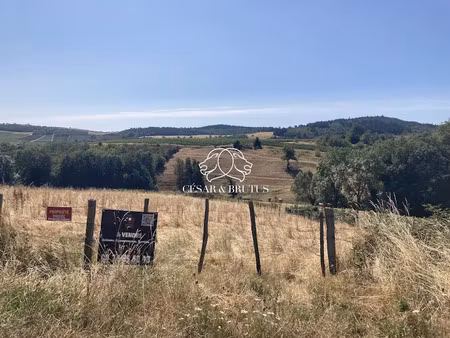 vente terrain 4320 m² à vauxrenard (69820)  13 000 €