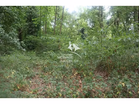 vente terrain 2100 m² à val-d'arguenon (22130)  10 000 €