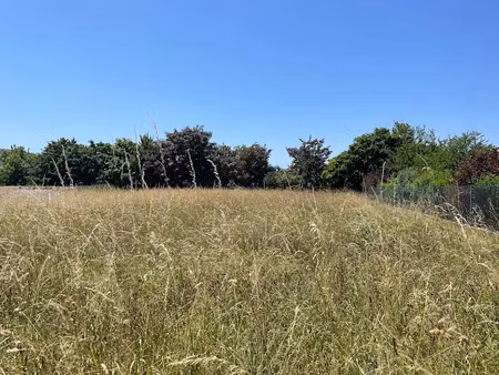 vente terrain 1090 m² à martres-tolosane (31220)  40 000 €