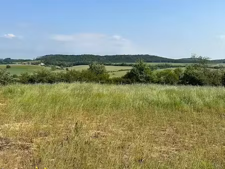 vente terrain 1007 m² à saulx (70240)  40 280 €
