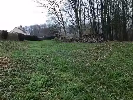 terrain