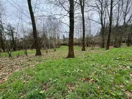 terrain