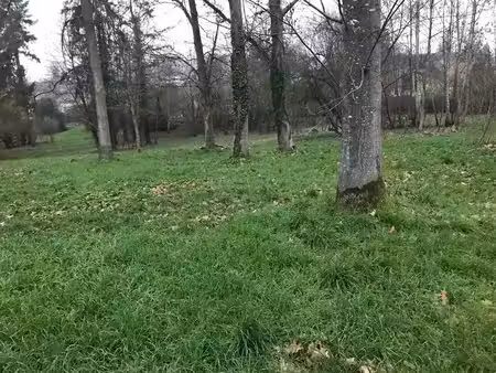terrain