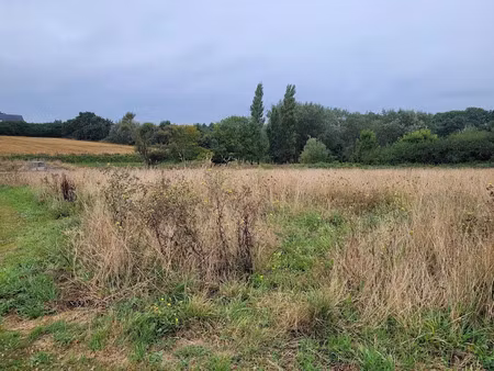 vente terrain 451 m² à lannilis (29870)  79 000 €