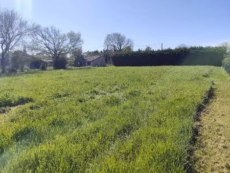 vente terrain 1350 m² à blaignan (33340)  60 000 €