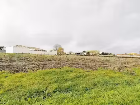 vente terrain 600 m² à cussac-fort-médoc (33460)  58 000 €