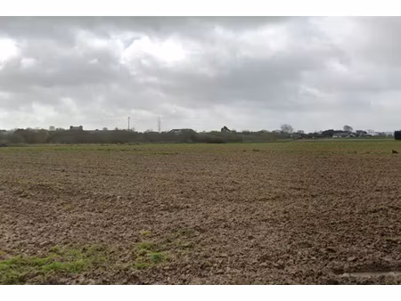 vente terrain 530 m² à cléder (29233)  61 000 €