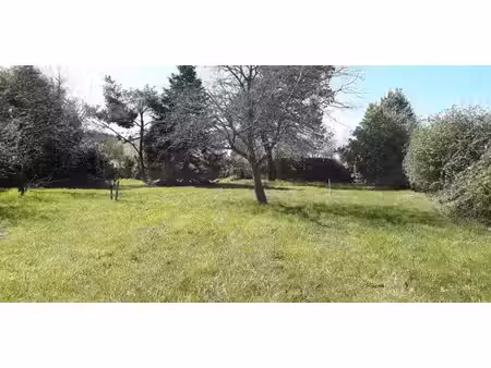terrain