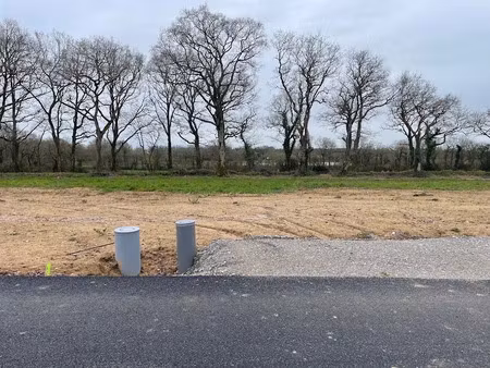 vente terrain 301 m² à saint-père-en-retz (44320)  67 300 €