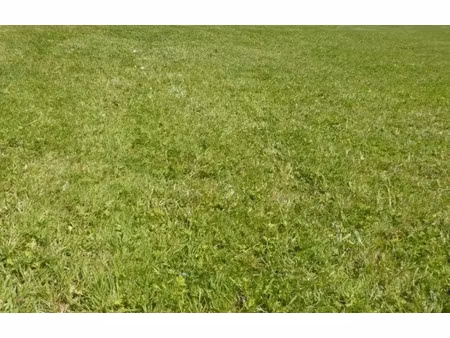 vente terrain 604 m² à dirinon (29460)  78 000 €