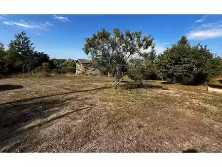terrain