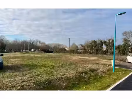 terrain