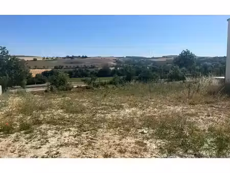 terrain