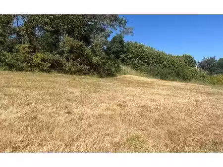 terrain