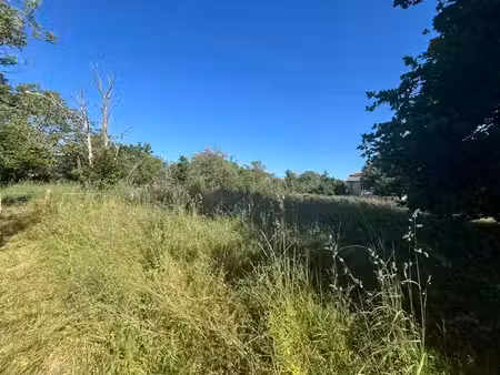 terrain