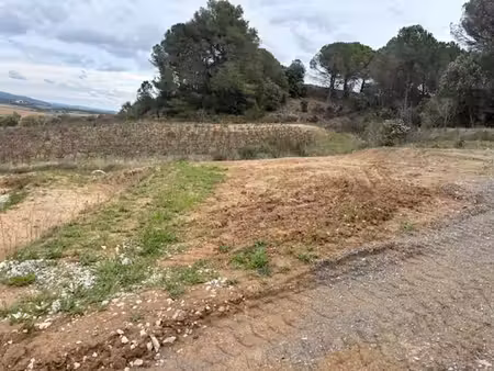 terrain