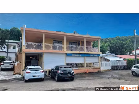 vente immeuble 358 m² la trinité (97220)