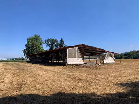 terrain agricole avec hangar sur le commune de saint just(01)