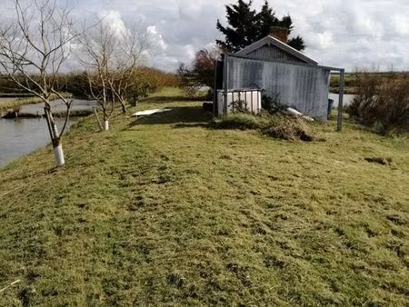cabane et marais