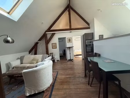 appartement climatisé et équipé plein centre