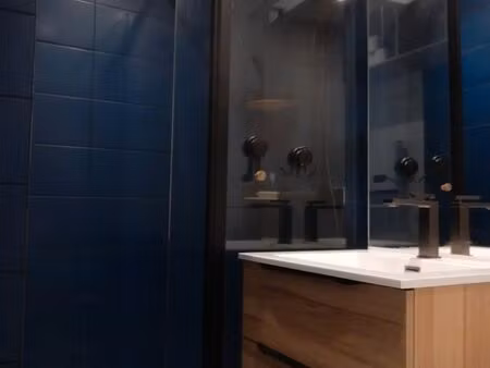studio meublé 22m² lumineux