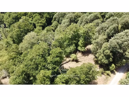 vente terrain à batir 1614 m² à vero (20172)  170 000 €
