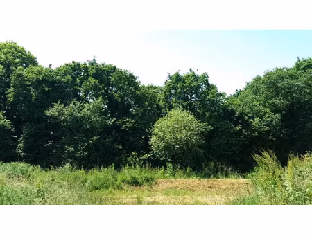vente terrain 598 m² à erquy (22430)  166 240 €