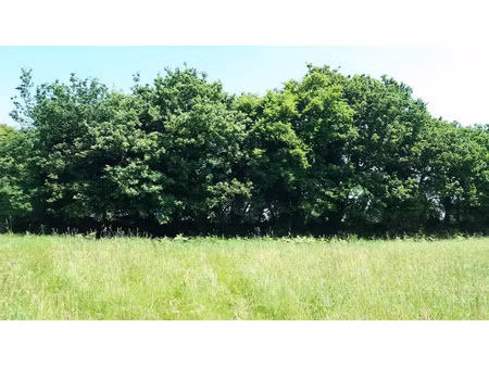 vente terrain 934 m² à fréhel (22240)  327 000 €
