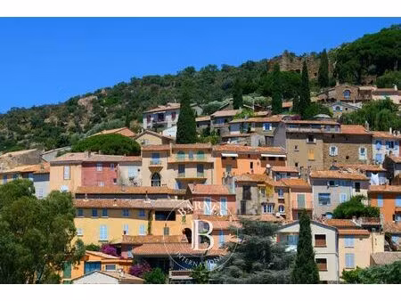 à vendre  propriété bormes-les-mimosas - 450 m² - 2 500 000 €