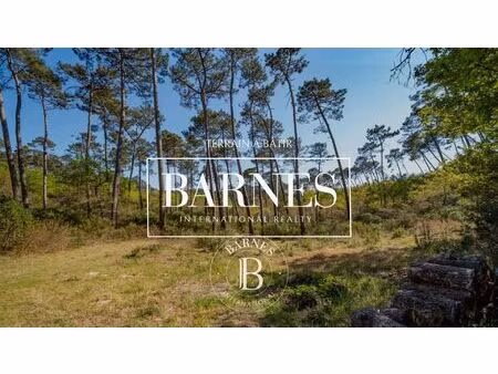 à vendre  terrain lège-cap-ferret - 1 088 m² - 790 000 €