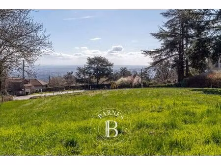 à vendre  terrain constructible saint-didier-au-mont-d'or - 1 972 m² - 800 000 €