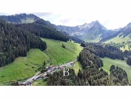 à vendre  chalet essert-romand 1 chambre - 102 m² - 180 000 €