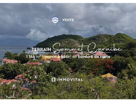 opportunité à saisir : vente terrain terre-de-haut