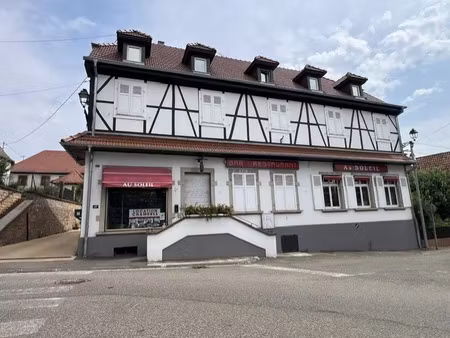 vente immeuble 0 pièces 547 m² à hoffen (67250)  1 254 000 €