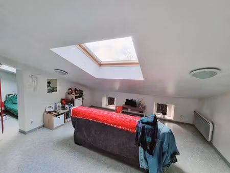 location appartement 2 pièces 21 m² à albi (81000)  385 €