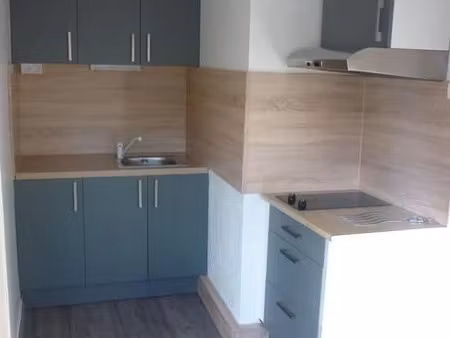 location appartement 1 pièce 32 m² à nancy (54000)  500 €