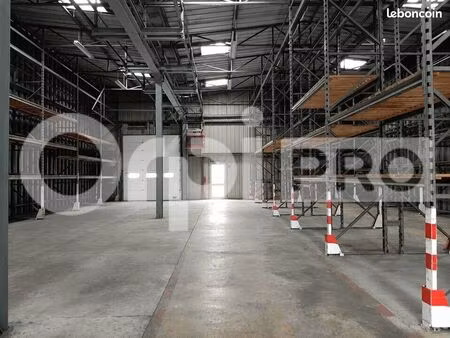 local d'activité 551 m²