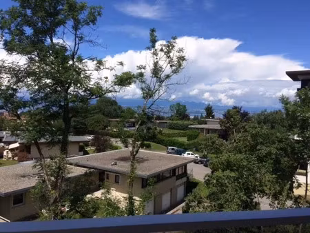 location appartement 2 pièces 62.44 m² à thonon-les-bains (74200)  819 €