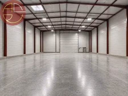 location entrepôt toulouse 31100 423m²