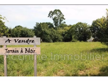 vente terrain