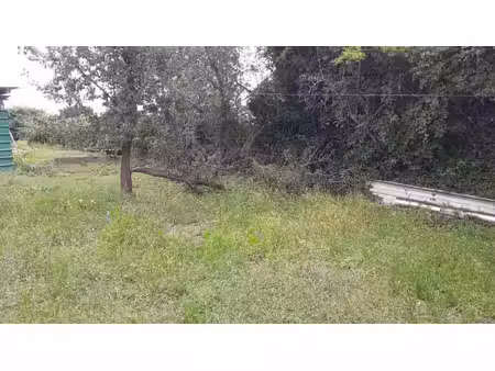 terrain à bâtir