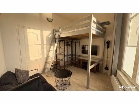 hypercentre  t1 meublé de 21 m2 en rez-de-chaussée avec vues sur la vienne