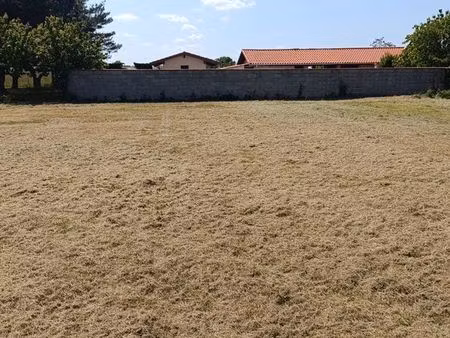 terrain constructible
