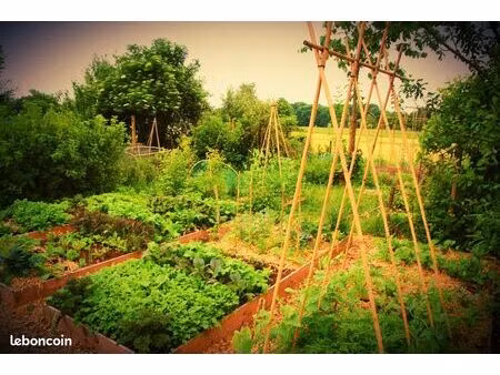 parcelle potager à louer